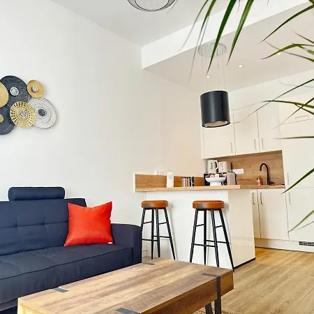 Cosy & Design 公寓 里昂
